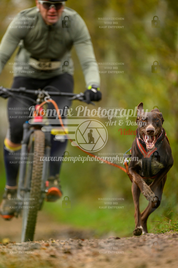 MompixPhotography_20TSB_E6_Bike-82 | PayLife