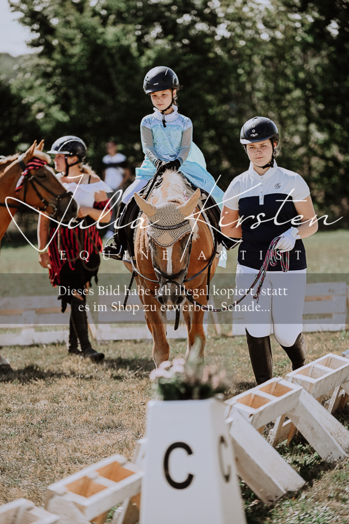DSC_8966 | Pferde- und Turnierfotografie in Westsachsen. Pferdeportraits, Auftragszeichnungen und intuitive Kunst.