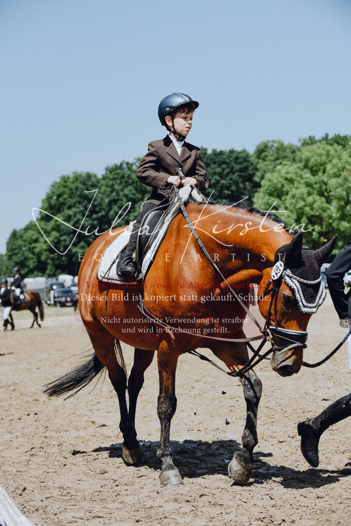 DSC_2198 | Pferde- und Turnierfotografie in Westsachsen. Pferdeportraits, Auftragszeichnungen und intuitive Kunst.