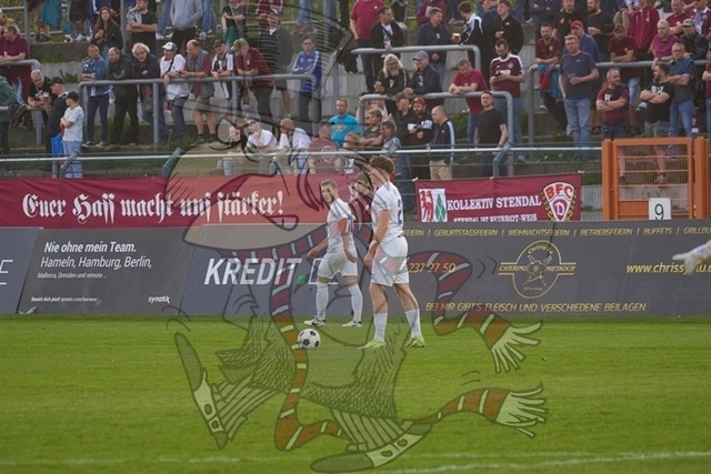 BFC Dynamo vs. FC Eilenburg  027 | mythos-online-redaktion