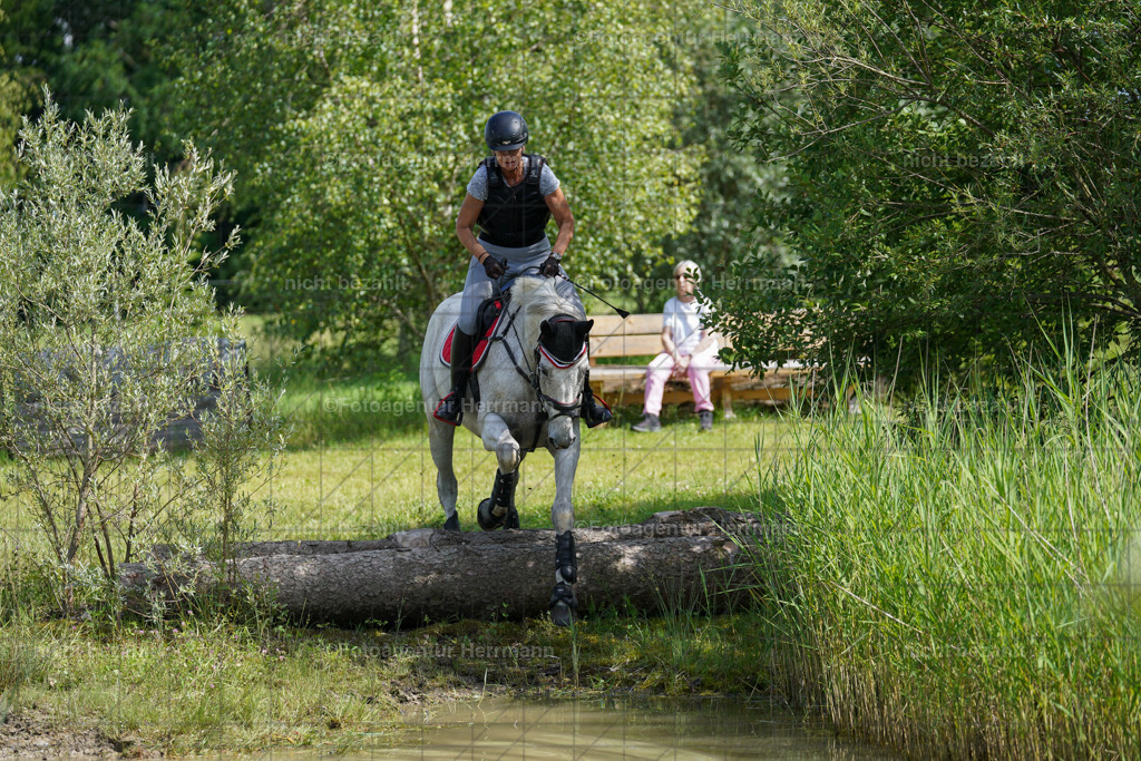 20240622-FAH07856 | Turnierfotografen Bayern, Reitsportbilder aus dem Geländekurs mit Felix Etzel auf dem Gut Waitzacker 2024