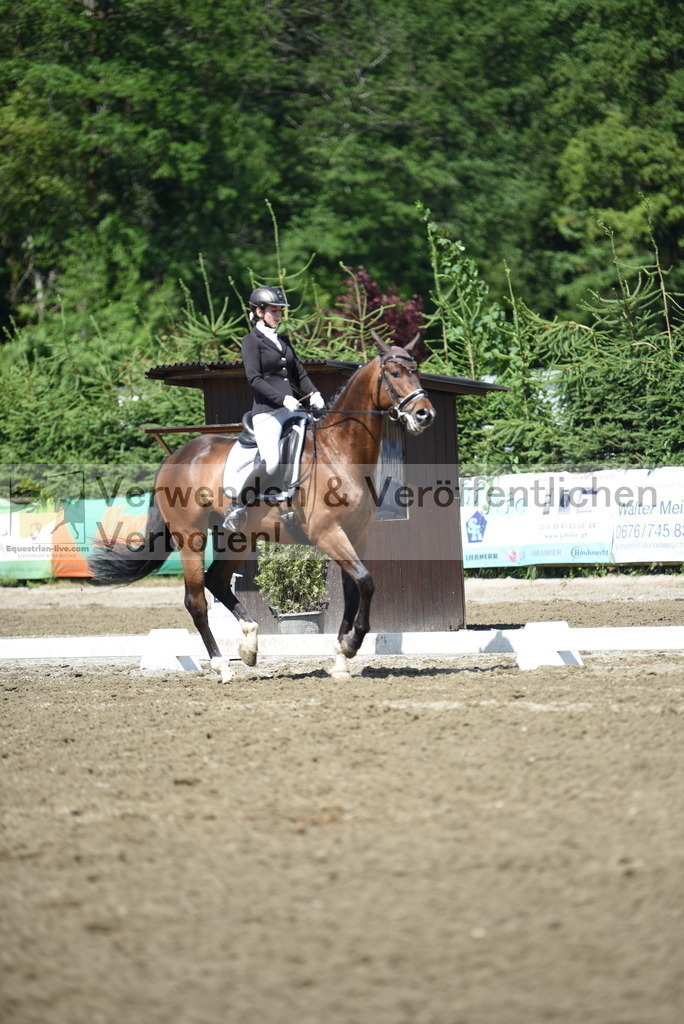 DSC_0377 | equestrian-live-com