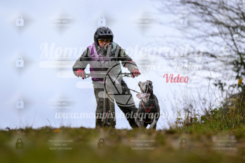 MompixPhotography_2OATB_SO_Scooter-33 | PayLife