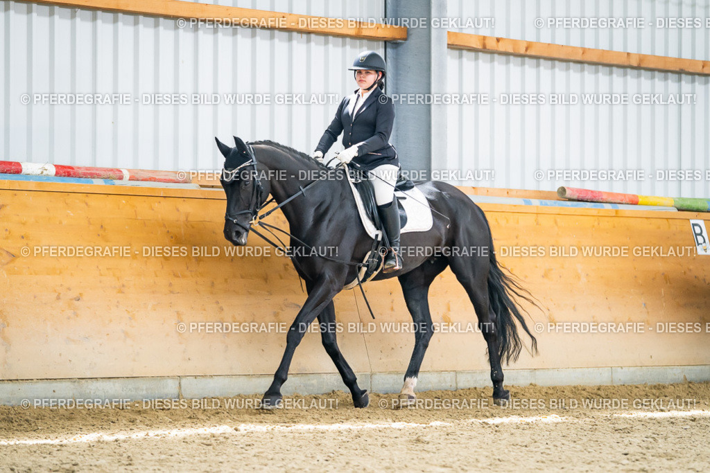 DSC04369 | Pferdegrafie