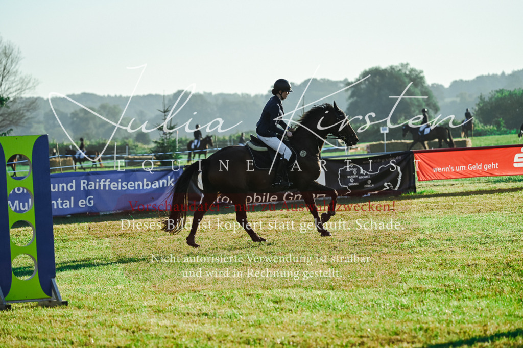 DSC_3961 | Pferde- und Turnierfotografie in Westsachsen. Pferdeportraits, Auftragszeichnungen und intuitive Kunst.