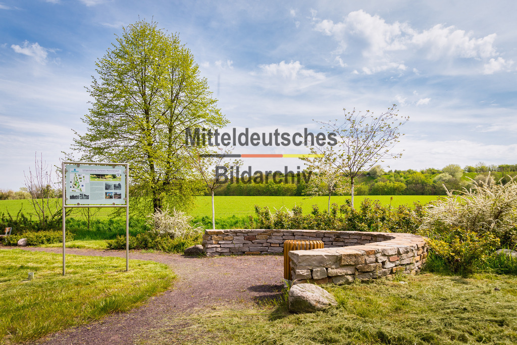 Mammendorf Wall _ Dorf-2850 | Park Eichenbarleben - Realisiert mit Pictrs.com