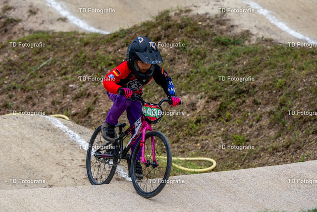 BayBMX2026-05768 | Fotogalerie von Thomas Dettweiler mit Eventbildern und lizenzfreien Fotos. Perfekt als Wandbild, für Büro, Website oder private Nutzung. - Realisiert mit Pictrs.com