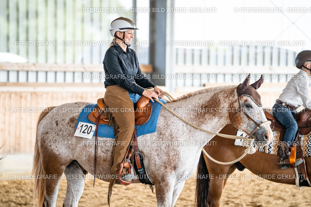 DSC08713 | Pferdegrafie