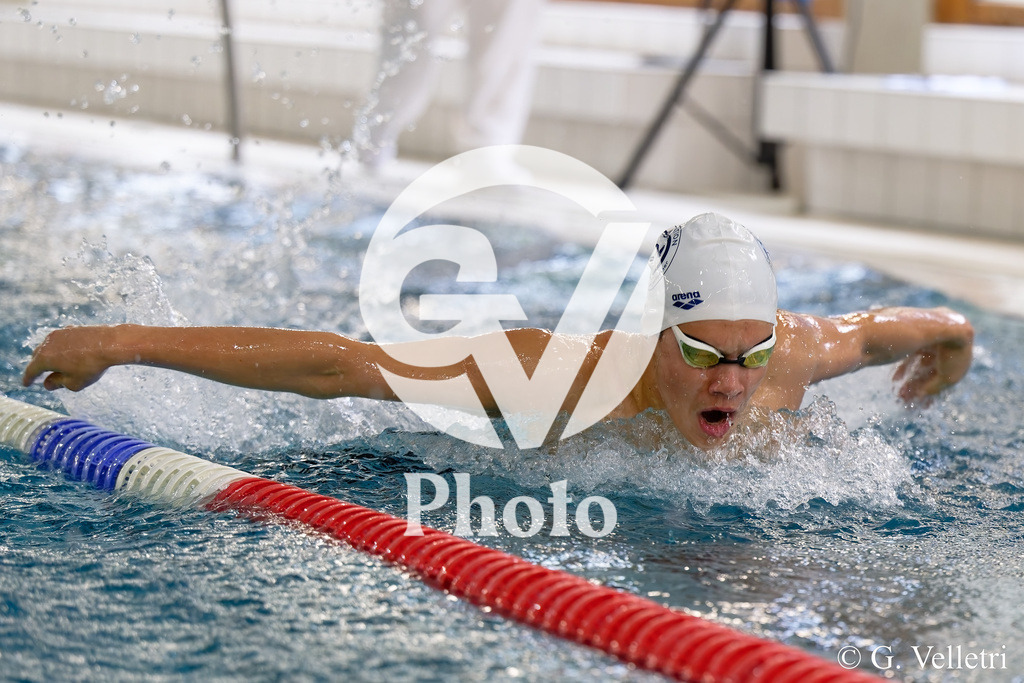 DSC_8723 | Velletri Photo