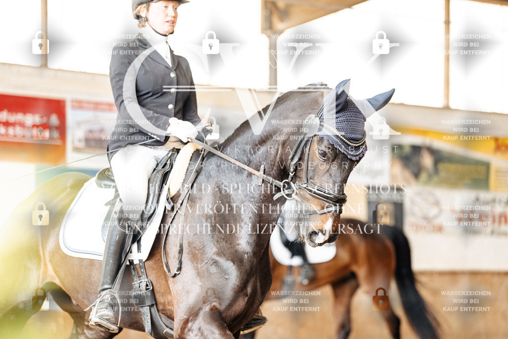 CK901153 | Turnierfotografie Pferdefotografie Trier Rheinland-Pfalz Pferdesport Reitsport Tierfotografie Sportfotografie Pferdevideo Pferdevideografie Equestrianvideography equestrianphotography  - Realisiert mit Pictrs.com