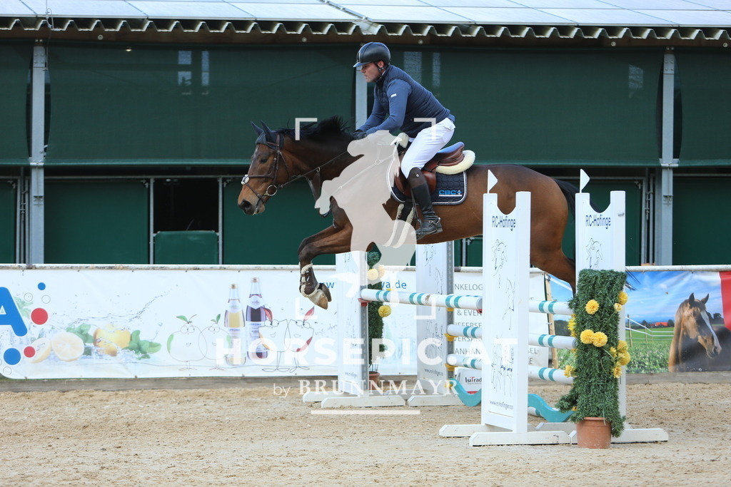 DL2Q9674 | Willkommen bei Brunnmayr - Design & Fotografie – Ihrem Spezialisten für Reitturniere und Pferdeveranstaltungen in Oberösterreich, Salzburg und Bayern! Seit über 17 Jahren sind wir leidenschaftlich dabei.