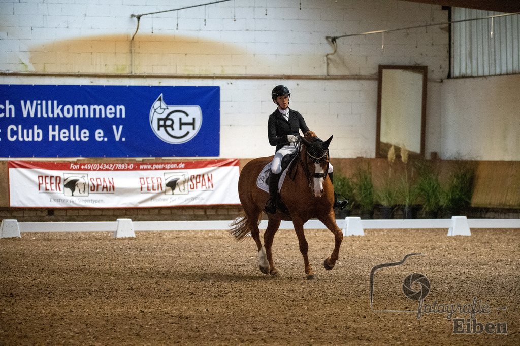 Helle Nymphenburger Dressurtage | Sophie-Celine-Viktoria Richter auf dem Pferd Palinkas Red (Startnummer 319); Helle Nymphenburger Dressurtage am 01.10.2023; in Bad Zwischen (RC Helle), Photo: Philip Eiben 2023 - Realisiert mit Pictrs.com