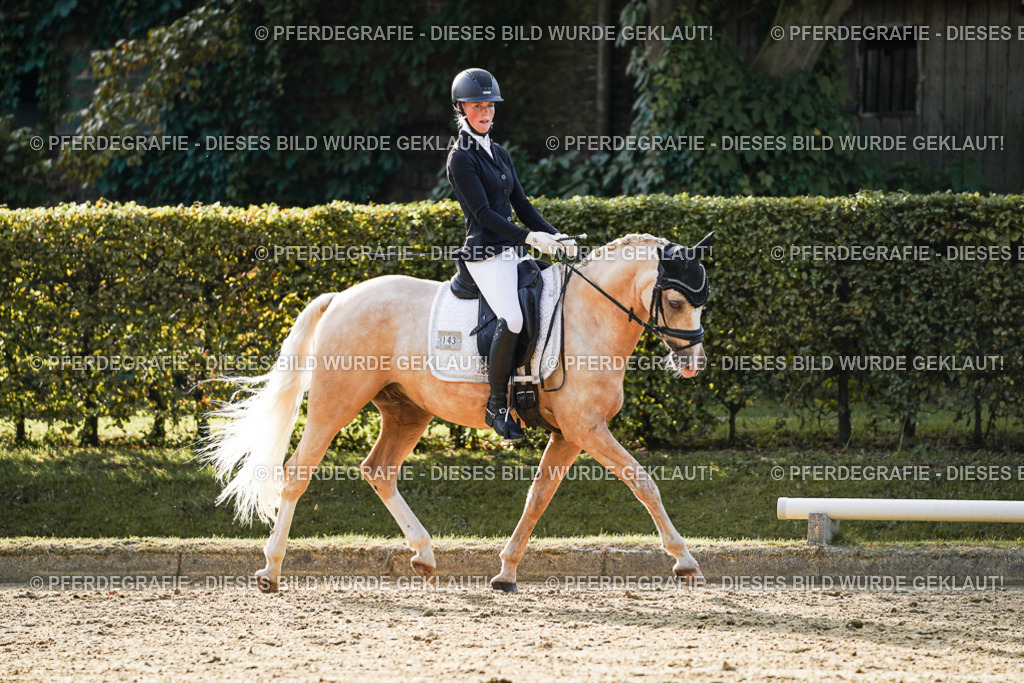 DSC04836 | Pferdegrafie