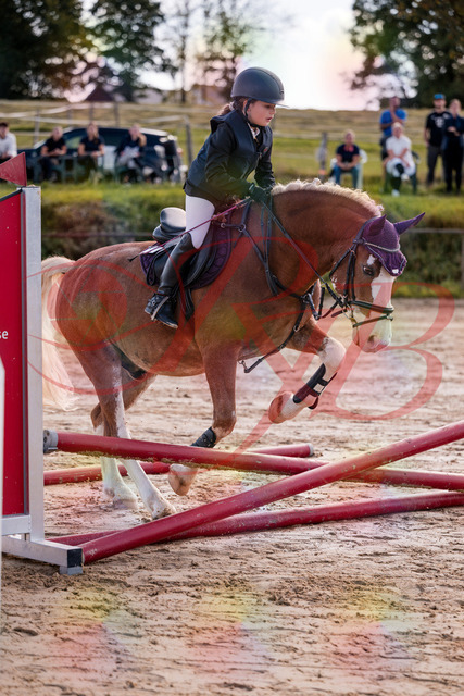 2026_10_03_Siefer-Hof_144437_Z81_18443921 | Professionelle Reitsport-, Turnier- und Eventfotografie von Robert Broda. Galerien mit ausgewählten und bearbeiteten Bildern direkt online ansehen und bestellen.