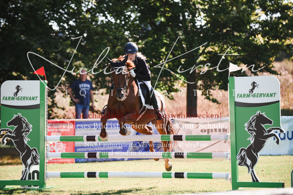 DSC_2456 | Pferde- und Turnierfotografie in Westsachsen. Pferdeportraits, Auftragszeichnungen und intuitive Kunst.