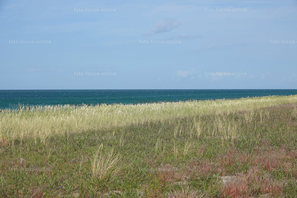 North Beach, Darß | foto-focus-online