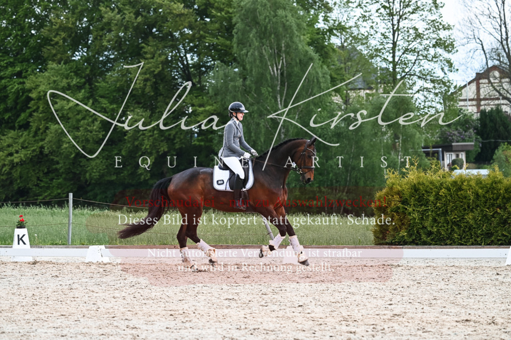 20230513_JK-Röhrsdorf-11-433 | Pferde- und Turnierfotografie in Westsachsen. Pferdeportraits, Auftragszeichnungen und intuitive Kunst.