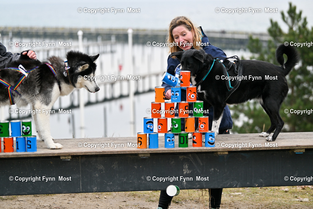 DSC_2978 | Hallo und herzlich Willkommen auf meiner Shop-Seite Fynn Most.

Ich wünsche Dir viel Spaß beim stöbern durch die Bilder, wenn Du Fragen hast oder Bilder vermisst, kannst du mir gerne eine Nachricht schreiben. - Realisiert mit Pictrs.com
