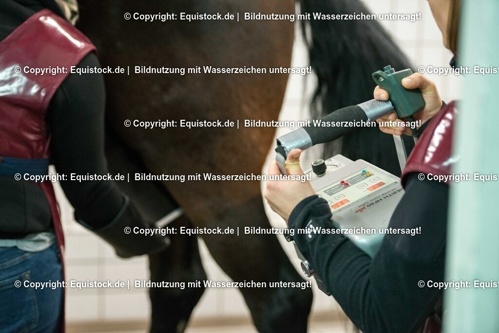 20170113_R__ntgen_0042 | Foto: Thomas Hartig