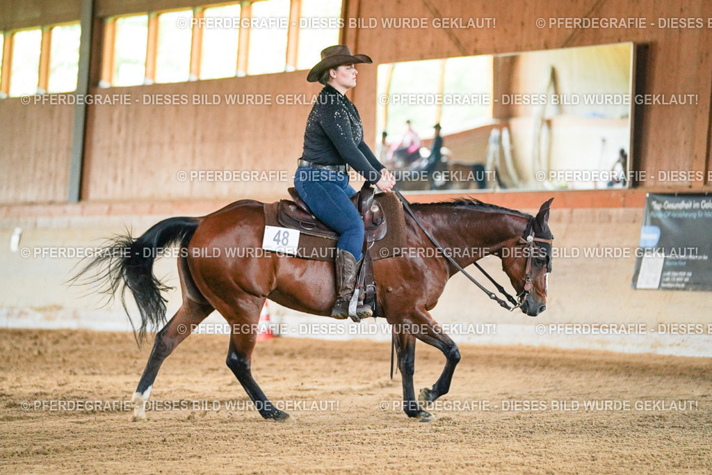 DSC05403 | Pferdegrafie