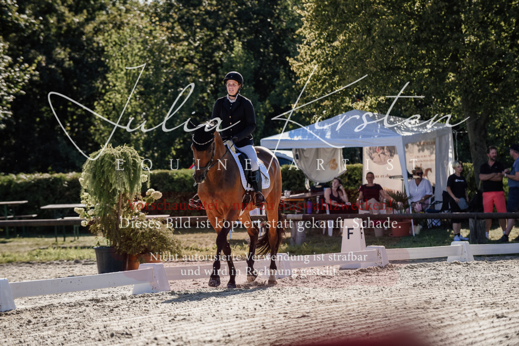 DSC_0303 | Pferde- und Turnierfotografie in Westsachsen. Pferdeportraits, Auftragszeichnungen und intuitive Kunst.