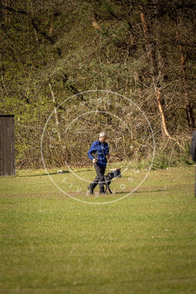 Pfotenfotografie_DV3A0376 | Hundefotografie, Tierfotograf, Pfotenfotografie, Fotoshooting Hund, Hunde Portrait, Hundesport, Hundeportraits, Heideshooting, Hunde, Sportfotograf, Hundefotograf, Turnierhundsport, THS,  - Realisiert mit Pictrs.com