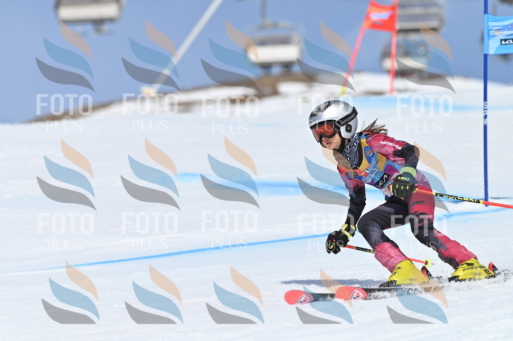 BGV_0280 | holidayphoto