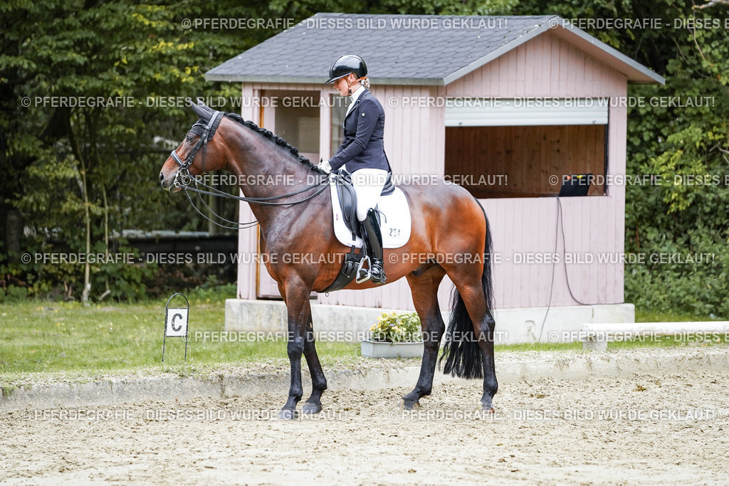 DSC09790 | Pferdegrafie