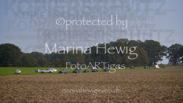 09-23 Jagd Perdöl_MCH0296_Marina Hewig | Fotografie, FotoArt, PferdesportArt, Pferdesportfotografie, Landschaftsfotografie, Reisefotografie, Reise, Pferde - Realisiert mit Pictrs.com