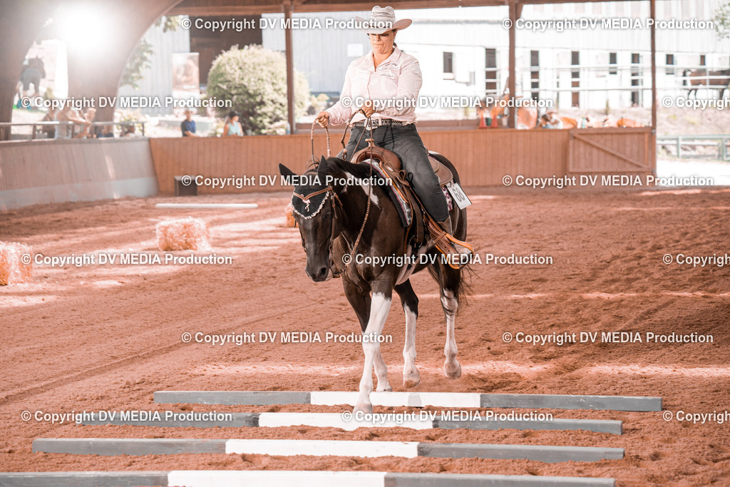 NE300294 | dv-media-shop - Realisiert mit Pictrs.com