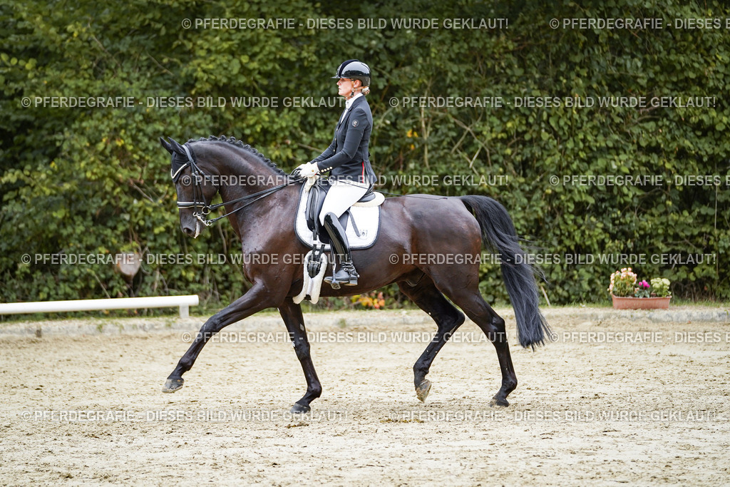 DSC01356 | Pferdegrafie