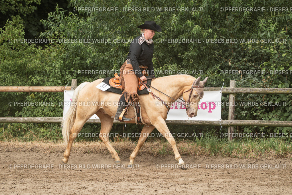 DSC03447 | Pferdegrafie