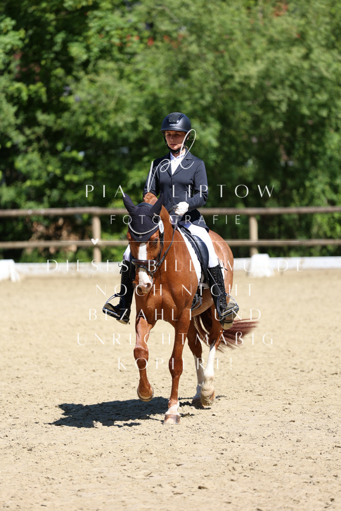 IMGS1442 | pl-fotografie