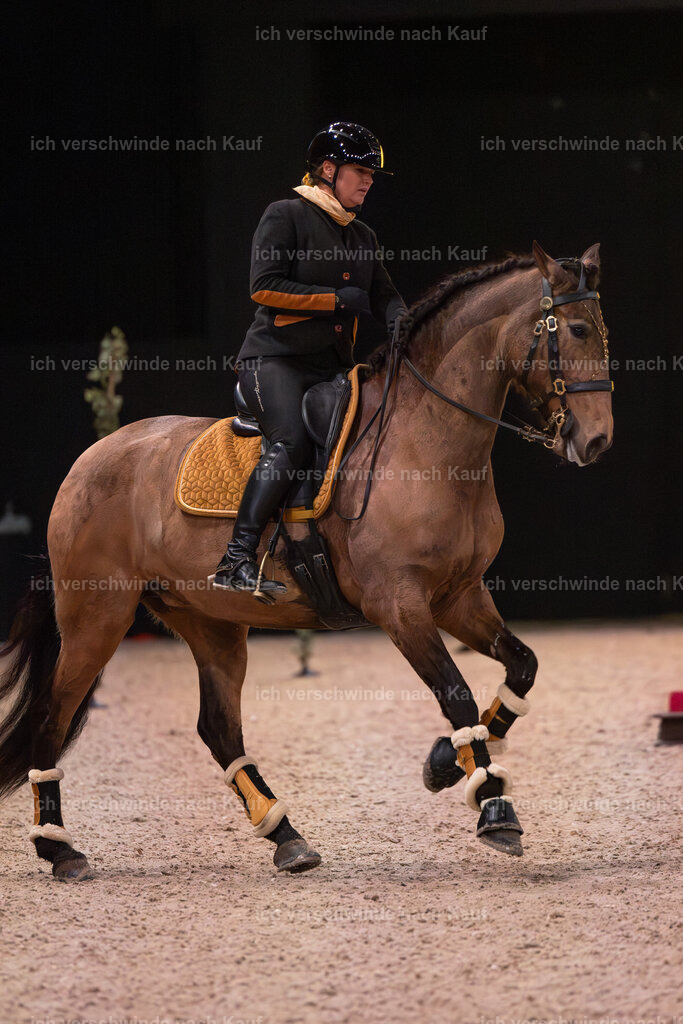 JoseraCup-47 | working equitationturnier fotograf videograf stoibphotography marixx film working equitation deutschland reitsport turnierfotografie eventfotografie equestrian events