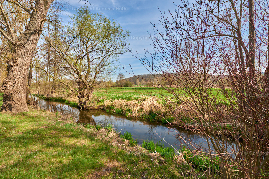 Der Elsterfloßgraben zwischen Ahlendorf und Trebnitz 03 | Bedeutsame Landschaften Deutschlands - Realisiert mit Pictrs.com