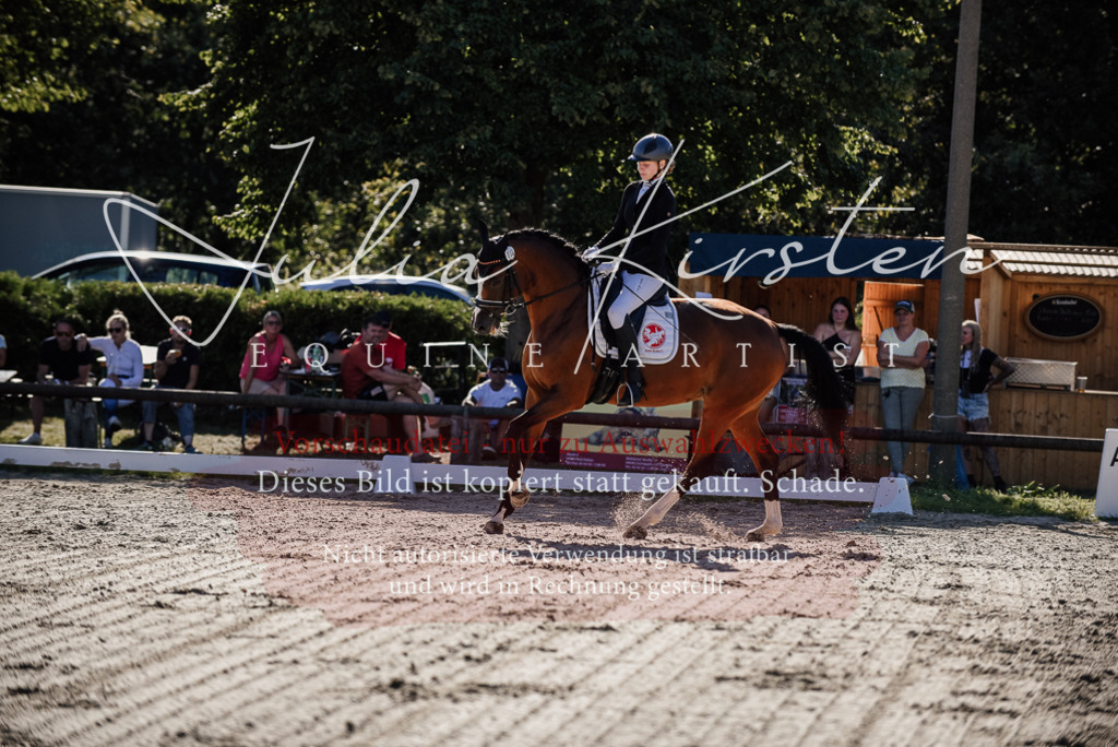 DSC_0346 | Pferde- und Turnierfotografie in Westsachsen. Pferdeportraits, Auftragszeichnungen und intuitive Kunst.