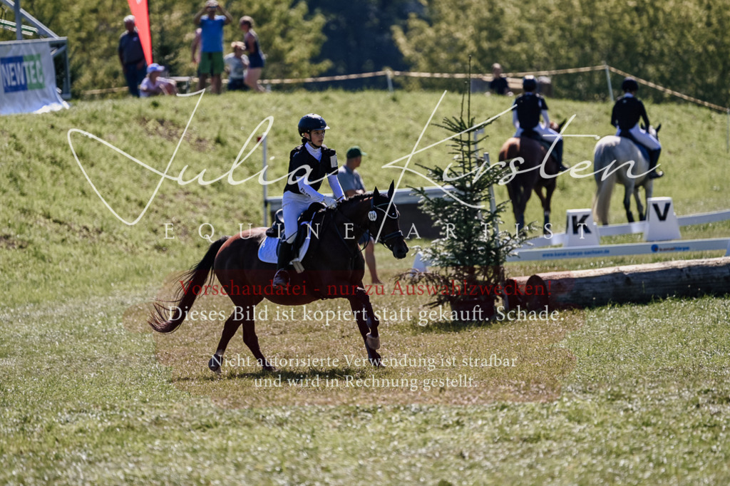 DSC_2813 | Pferde- und Turnierfotografie in Westsachsen. Pferdeportraits, Auftragszeichnungen und intuitive Kunst.