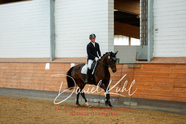 _62_7072 | Turniersportfotografie; Pferdefotografie; Dressurfotografie