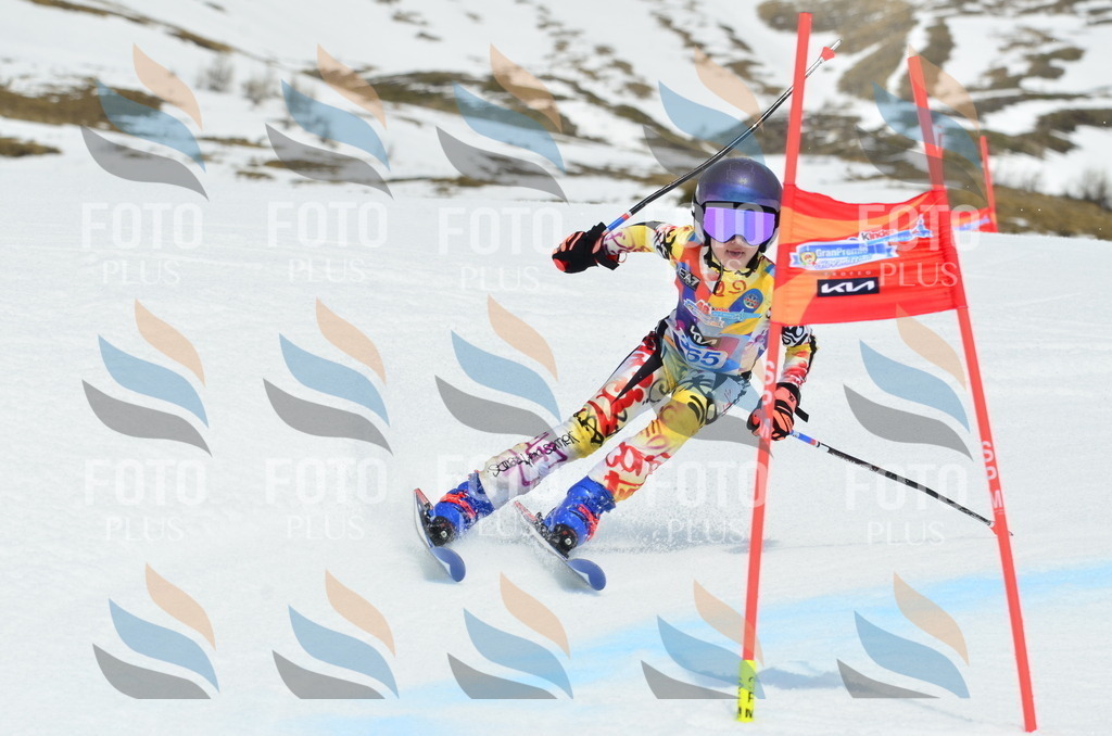 _ELE2934 | holidayphoto