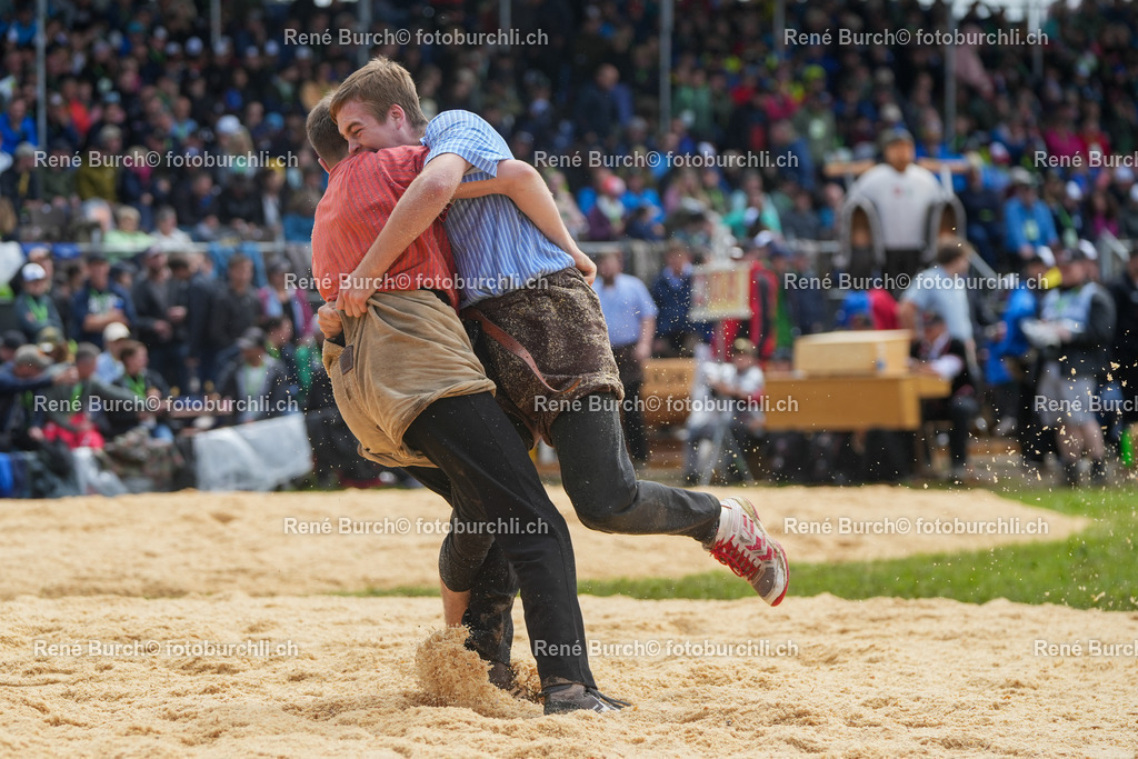 RB_08133 | René Burch leidenschaftlicher Fotograf aus Kerns in Obwalden.  Hier finden sie Sport, Landschaft und Natur Fotografie.
 - Realisiert mit Pictrs.com