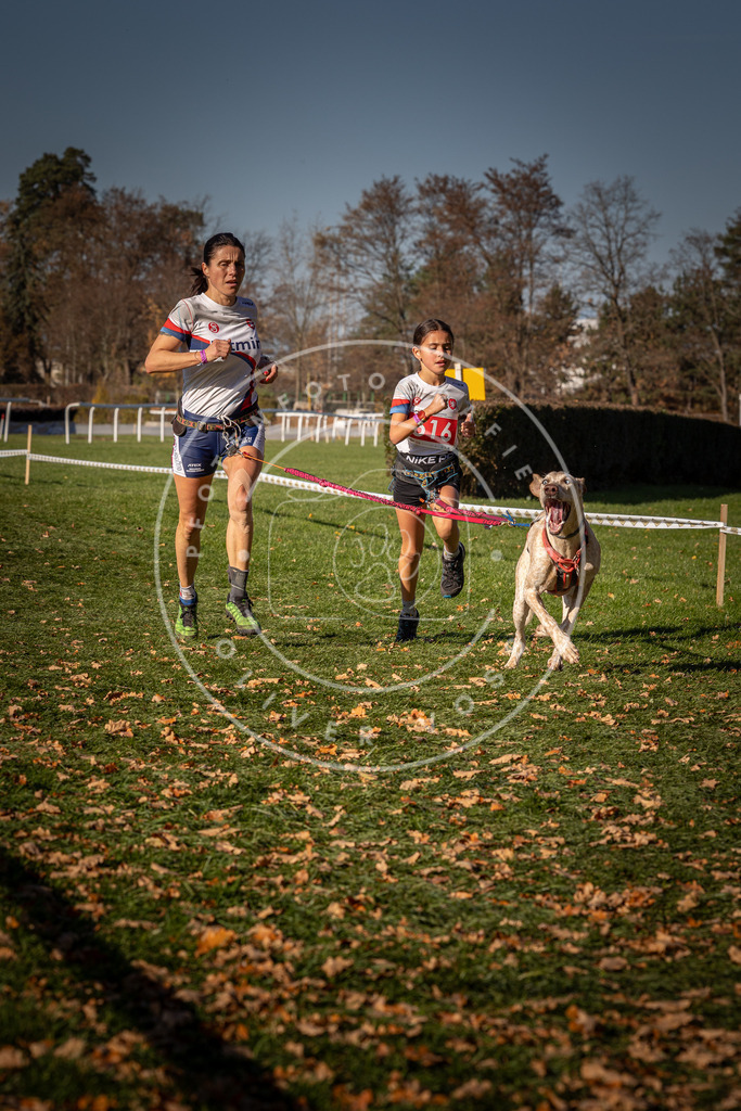CaniXpix_0L8A6987 | Hundefotografie, Tierfotograf, Pfotenfotografie, Fotoshooting Hund, Hunde Portrait, Hundesport, Hundeportraits, Heideshooting, Hunde, Sportfotograf, Hundefotograf, Turnierhundsport, THS,  - Realisiert mit Pictrs.com