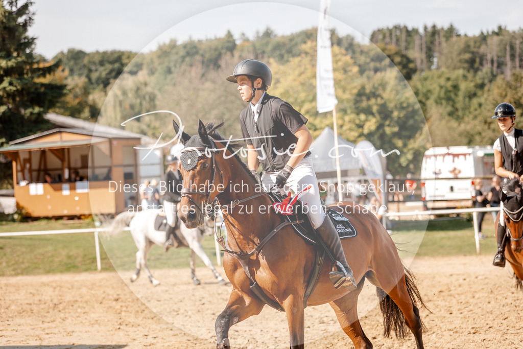 3I6A4677 | Stimmungsvolle Portraits und Reitsportfotografie im Ruhrgebiet und im Münsterland.

Pferdefotografie, Hundefotografie, Tierfotografie, Reportagen, Portraits von Tier und Mensch, Turnierfotografie in Bochum, Recklinghausen, Marl, Haltern am See, Dülmen.. - Realisiert mit Pictrs.com