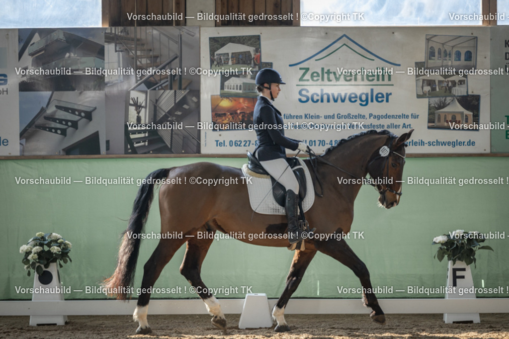 _D5A8357 | Emotionale Pferde- & People-Fotografie rund um Heidelberg, Leimen & Umgebung. Natürliche Fotos von Pferd, Mensch & Familie. Jetzt Termin sichern!