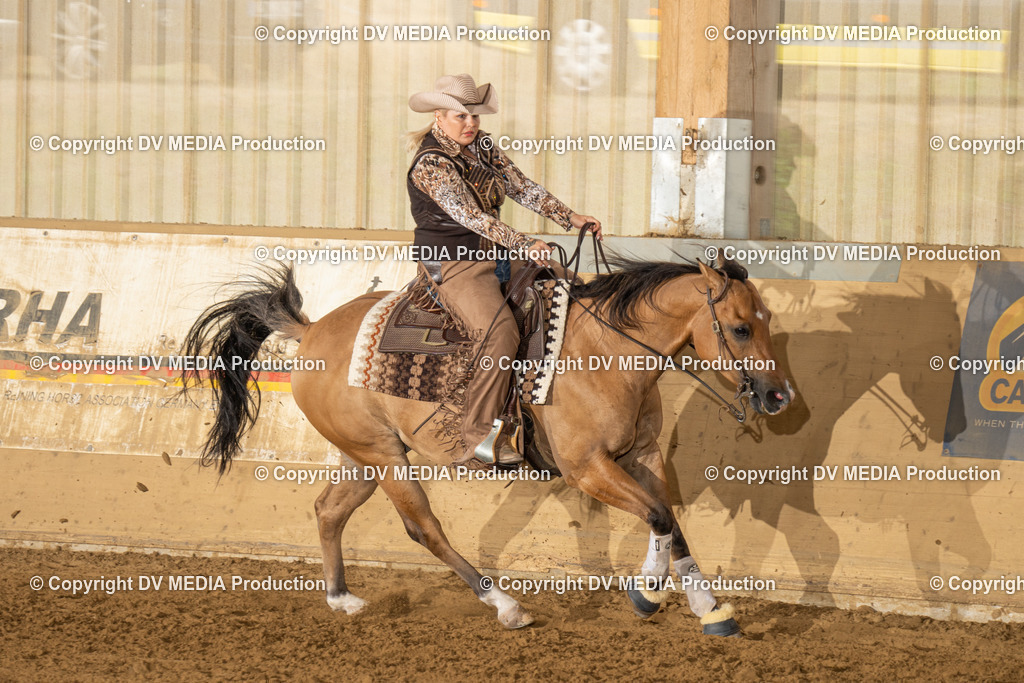 LAU01505 | dv-media-shop - Realisiert mit Pictrs.com