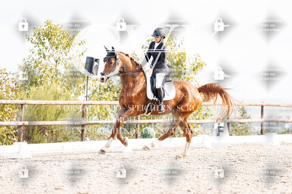 CK901371 | Turnierfotografie Pferdefotografie Trier Rheinland-Pfalz Pferdesport Reitsport Tierfotografie Sportfotografie Pferdevideo Pferdevideografie Equestrianvideography equestrianphotography  - Realisiert mit Pictrs.com