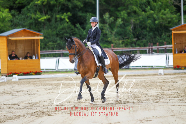 DKP47965 | Turniersportfotografie; Pferdefotografie; Dressurfotografie