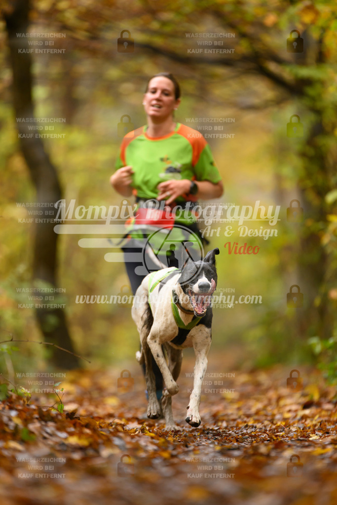 MompixPhotography_CD7S_DI_CCL-58 | mompixphotography