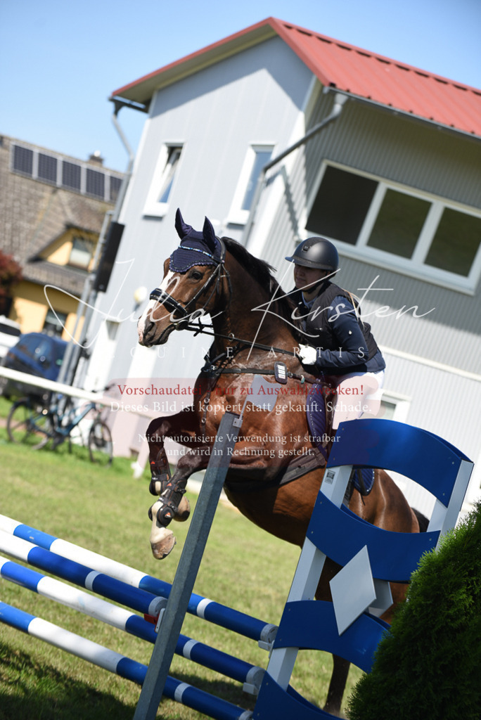 DSC_9392 | Pferde- und Turnierfotografie in Westsachsen. Pferdeportraits, Auftragszeichnungen und intuitive Kunst.