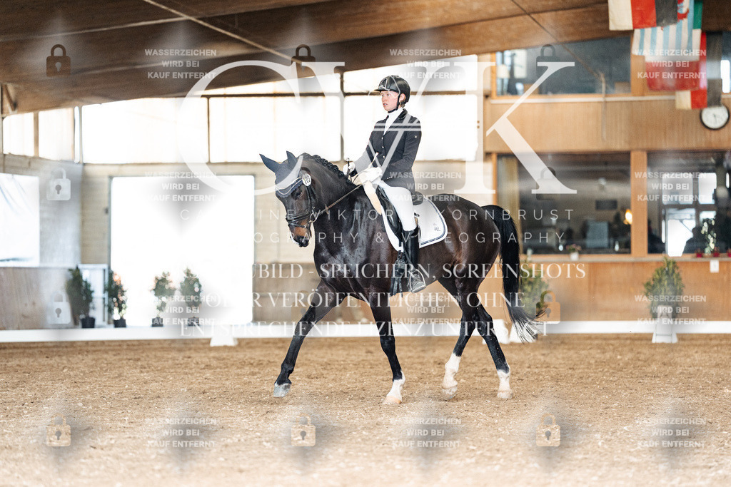 CK901845 | Turnierfotografie Pferdefotografie Trier Rheinland-Pfalz Pferdesport Reitsport Tierfotografie Sportfotografie Pferdevideo Pferdevideografie Equestrianvideography equestrianphotography  - Realisiert mit Pictrs.com