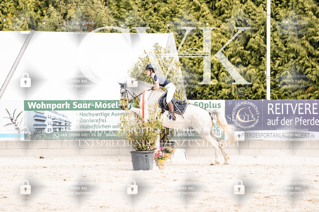 CK906807 | Turnierfotografie Pferdefotografie Trier Rheinland-Pfalz Pferdesport Reitsport Tierfotografie Sportfotografie Pferdevideo Pferdevideografie Equestrianvideography equestrianphotography  - Realisiert mit Pictrs.com